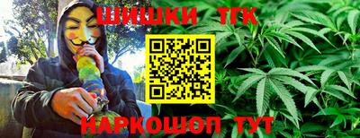 тгк Партизанск