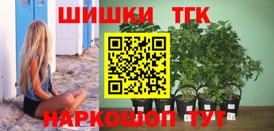 тгк Партизанск