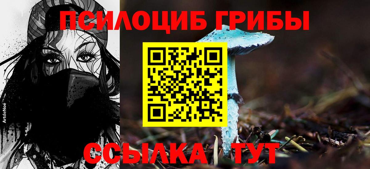 Псилоцибиновые грибы мицелий Таганрог